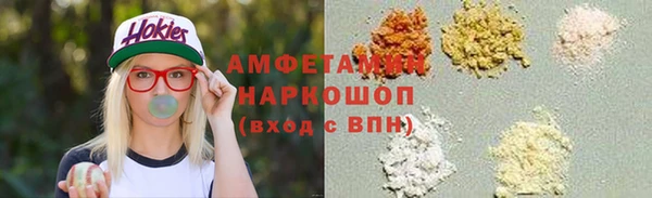 гашик Пестово